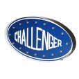 画像3: CHALLENGER/LIGHTNING SIGNBOARD（BLUE）［ライトニングサインボード-24春夏］