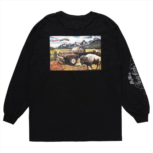 他の写真2: PORKCHOP/F-100 L/S TEE（BLACK）［プリント長袖T-24春夏］