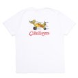 画像1: CHALLENGER/FIRE BIRD TEE（WHITE）［プリントT-24秋冬］ (1)