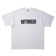 画像1: ROTTWEILER/RW LOGO TEE（WHITE）［プリントT-24秋冬］ (1)