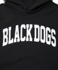 画像3: ROTTWEILER/B.D PARKA（BLACK）［パーカー-24秋冬］