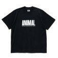 画像1: RATS/ANIMAL X TEE（BLACK）［プリントT-24春夏］ (1)