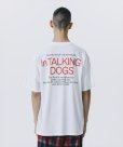 画像7: 【25春夏ご予約受付中！25年4月入荷予定】ROTTWEILER/CAL NIGHT PHOTO TEE（WHITE）［プリントT-25春夏］