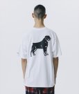 画像7: 【25春夏ご予約受付中！25年4月入荷予定】ROTTWEILER/B.D.C TEE（WHITE）［プリントT-25春夏］