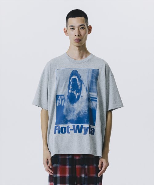 他の写真2: 【25春夏ご予約受付中！25年4月入荷予定】ROTTWEILER/DOG PHOTO TEE（GRAY）［プリントT-25春夏］