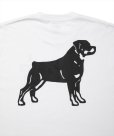 画像5: 【25春夏ご予約受付中！25年4月入荷予定】ROTTWEILER/B.D.C TEE（WHITE）［プリントT-25春夏］