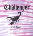 画像4: CHALLENGER/TIE DYE SCORPION TEE（LT PURPLE）［タイダイT-25春夏］