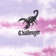 画像3: CHALLENGER/TIE DYE SCORPION TEE（LT PURPLE）［タイダイT-25春夏］