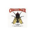 画像5: CHALLENGER/STICKER SET（6枚入り）［ステッカーセット-25春夏］