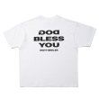 画像1: ROTTWEILER/D.B TEE（WHITE） 【30%OFF】［プリントT-24春夏］ (1)