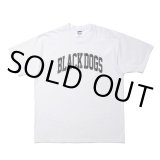 画像: ROTTWEILER/PIGMENT B.D TEE（WHITE） 【30%OFF】［プリントT-24春夏］