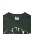 画像4: ROTTWEILER/GRAFFITI SWEATER（GREEN）［クルーネックスウェット-24秋冬］ (4)