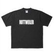 画像1: ROTTWEILER/RW LOGO TEE（CHARCOAL）［プリントT-24秋冬］ (1)