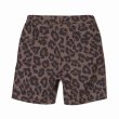 画像2: BUENA VISTA/Leopard half pants（BEIGE）［レオパードハーフパンツ-24春夏］ (2)