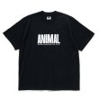 画像1: RATS/ANIMAL X TEE（BLACK）［プリントT-24春夏］ (1)