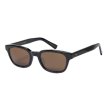 画像1: COOTIE PRODUCTIONS/Raza Shades（Black/Brown）［サングラス-24春夏］ (1)