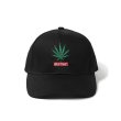 画像1: WACKO MARIA/HIGH TIMES / 6 PANEL CAP（BLACK）［6パネルキャップ-24秋冬］ (1)