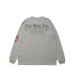 画像2: 【25春夏ご予約受付中！25年3月入荷予定】ROTTWEILER/DOG PHOTO LS TEE（GRAY）［プリント長袖T-25春夏］ (2)