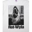 画像4: 【25春夏ご予約受付中！25年4月入荷予定】ROTTWEILER/DOG PHOTO TEE（WHITE）［プリントT-25春夏］ (4)