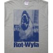 画像4: 【25春夏ご予約受付中！25年4月入荷予定】ROTTWEILER/DOG PHOTO TEE（GRAY）［プリントT-25春夏］ (4)