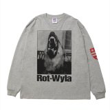 画像: 【25春夏ご予約受付中！25年3月入荷予定】ROTTWEILER/DOG PHOTO LS TEE（GRAY）［プリント長袖T-25春夏］