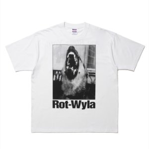 画像: 【25春夏ご予約受付中！25年4月入荷予定】ROTTWEILER/DOG PHOTO TEE（WHITE）［プリントT-25春夏］