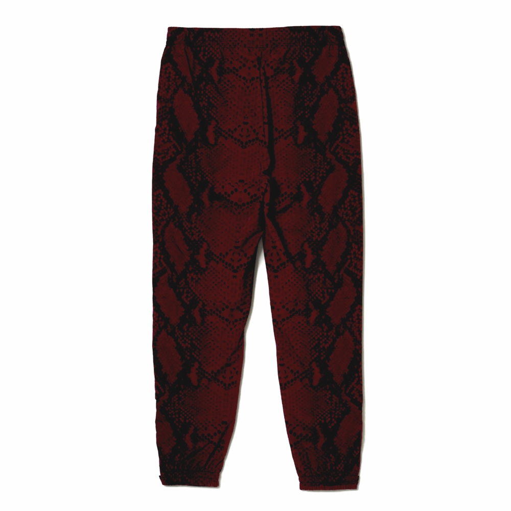 画像: BUENA VISTA/TRAINING PANTS PYTHON（BORDEAUX）［トレーニングパンツパイソン-24秋冬］